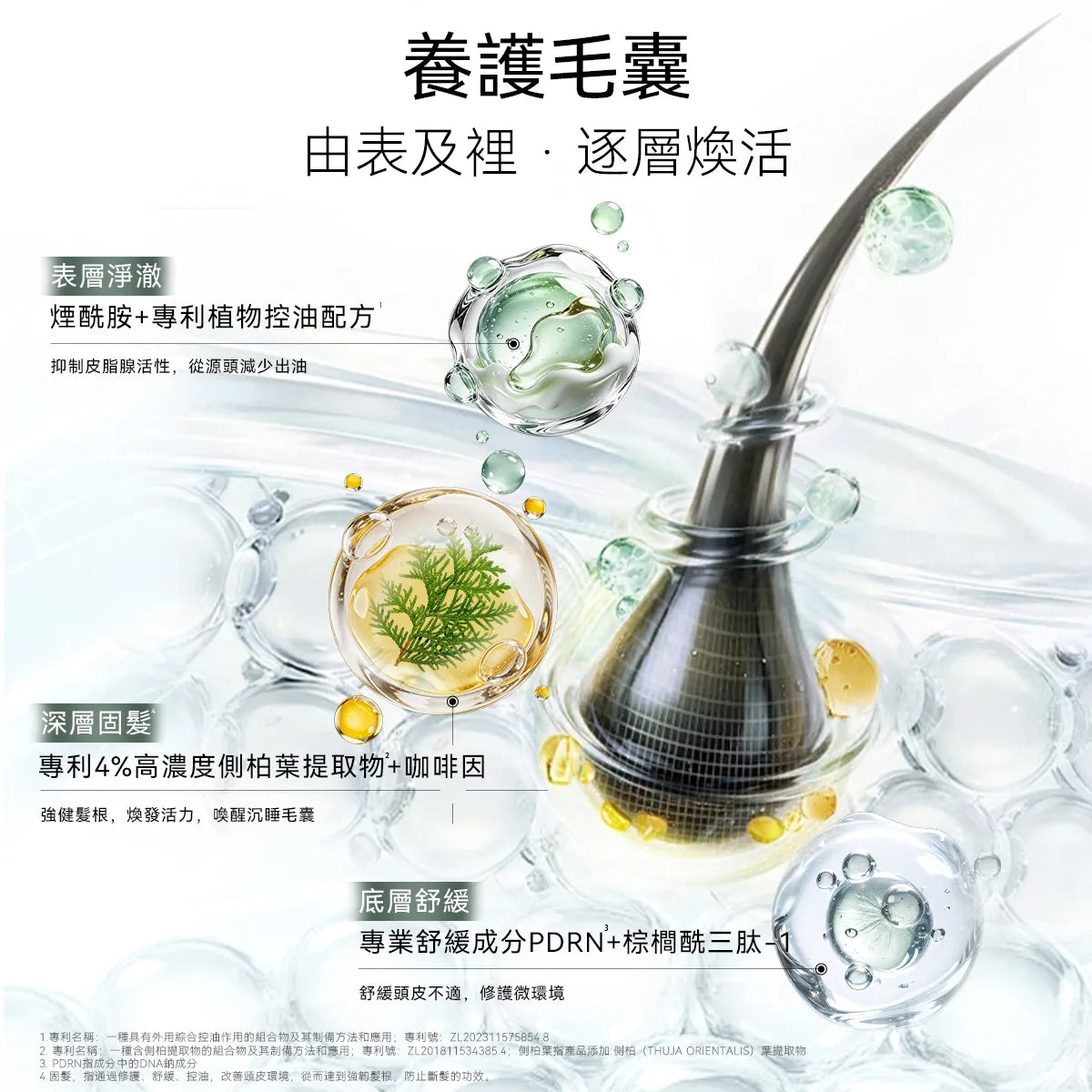 bixdo倍至頭皮精華液 60ml 控油強韌 煥活毛囊 光養梳搭檔