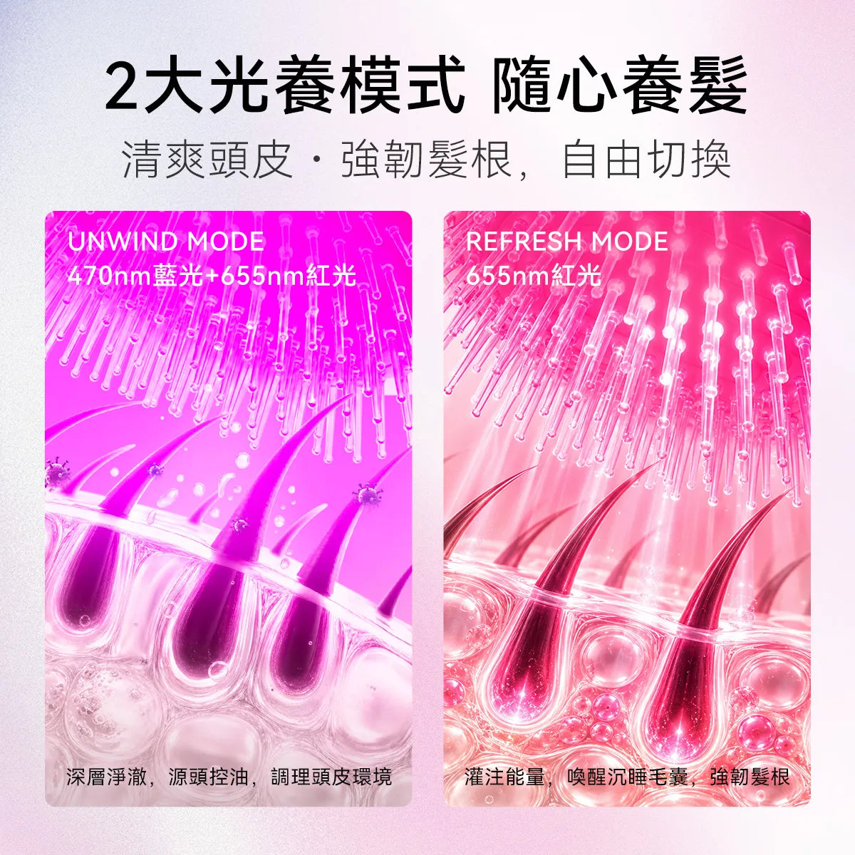 bixdo倍至氣墊光養梳 控油煥活 居家旅行頭皮護理 光能養髮護髮